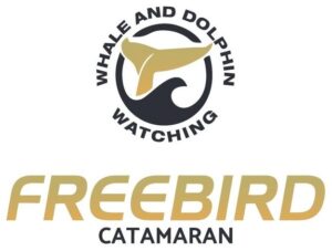 FreeBird